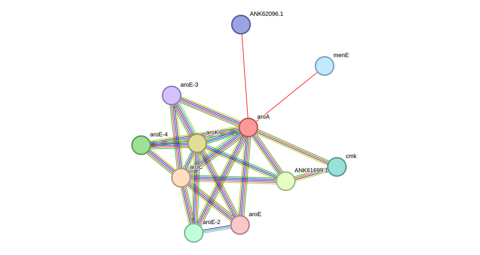 STRING protein interaction network
