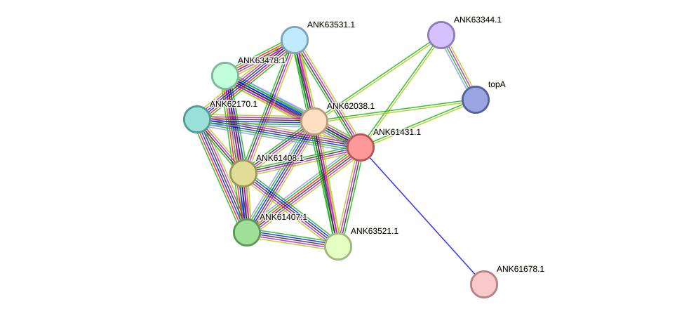 STRING protein interaction network
