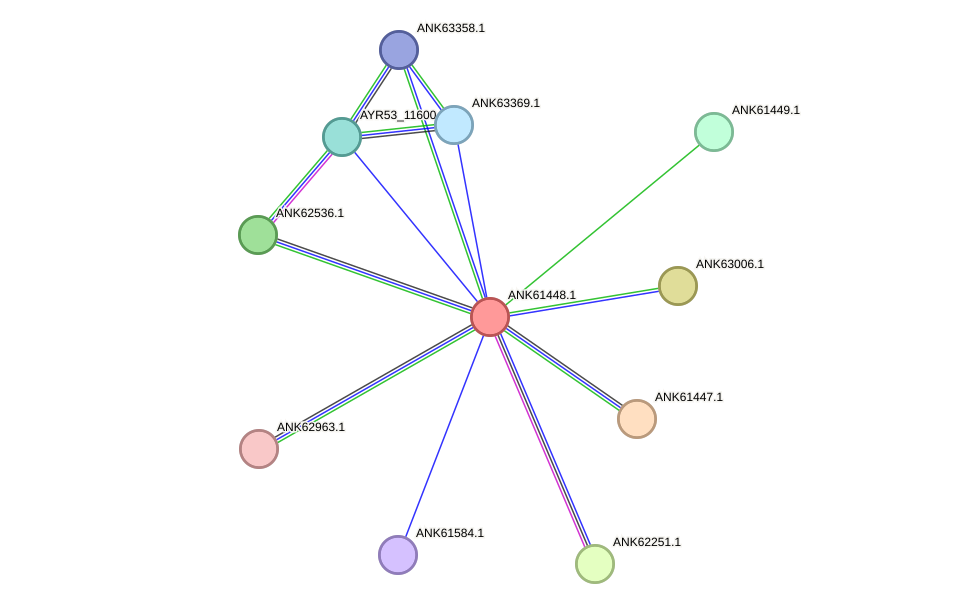 STRING protein interaction network