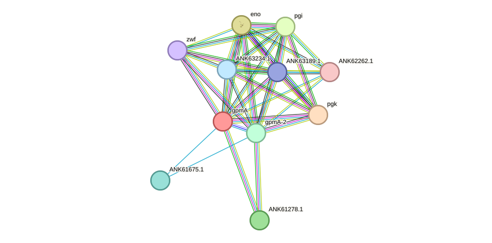 STRING protein interaction network