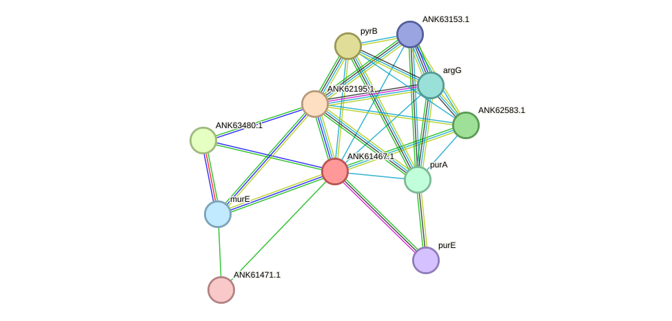 STRING protein interaction network