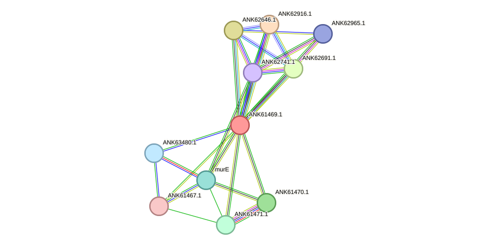 STRING protein interaction network