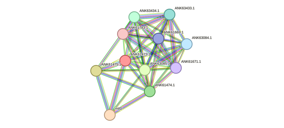 STRING protein interaction network