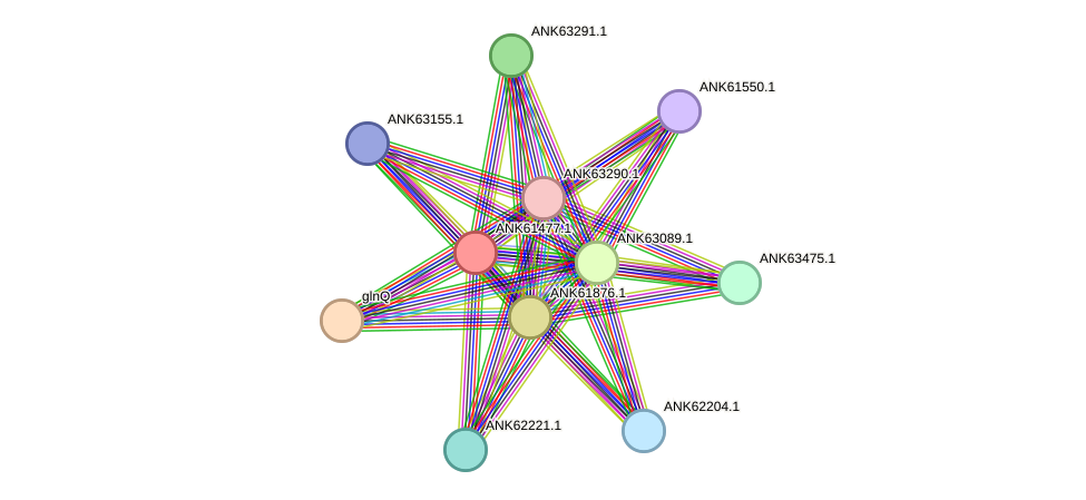 STRING protein interaction network