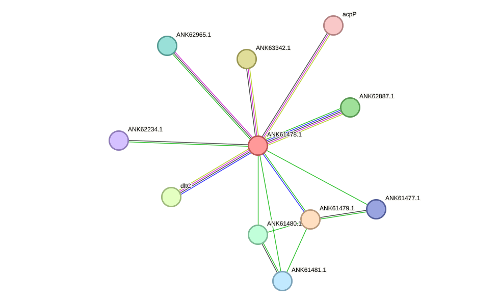 STRING protein interaction network