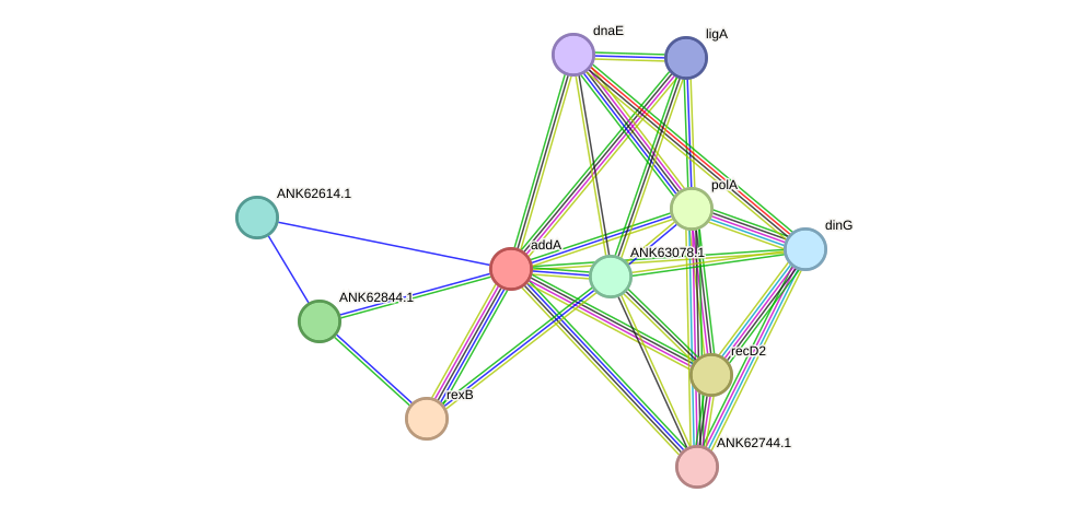 STRING protein interaction network