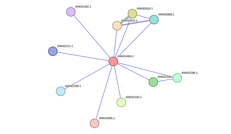 STRING protein interaction network