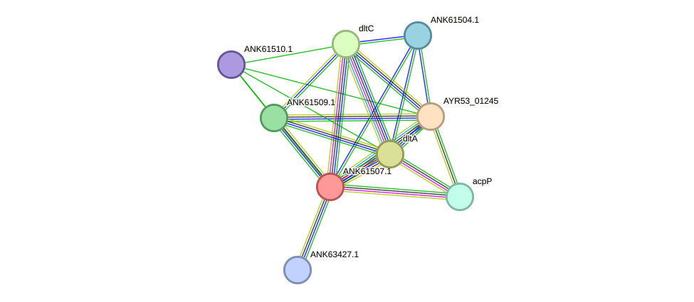 STRING protein interaction network
