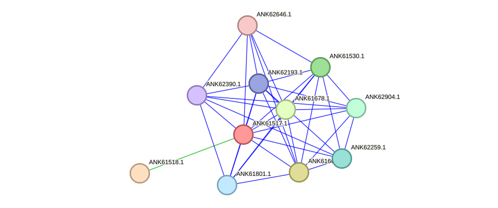 STRING protein interaction network