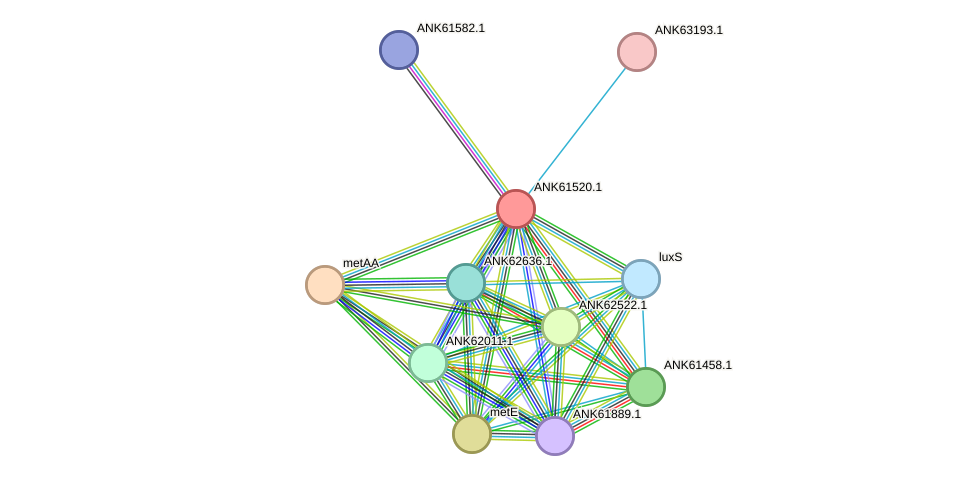 STRING protein interaction network