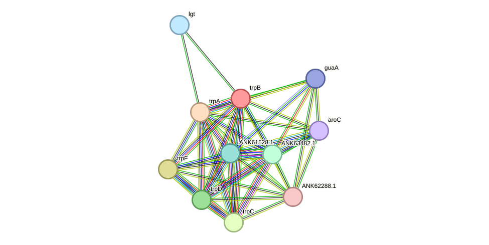 STRING protein interaction network