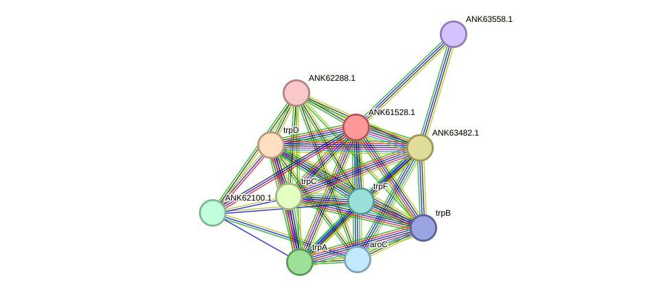 STRING protein interaction network