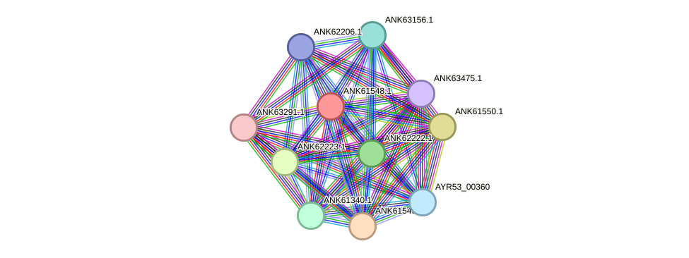 STRING protein interaction network