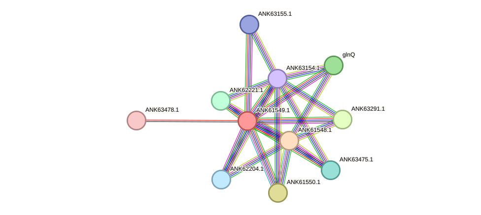 STRING protein interaction network