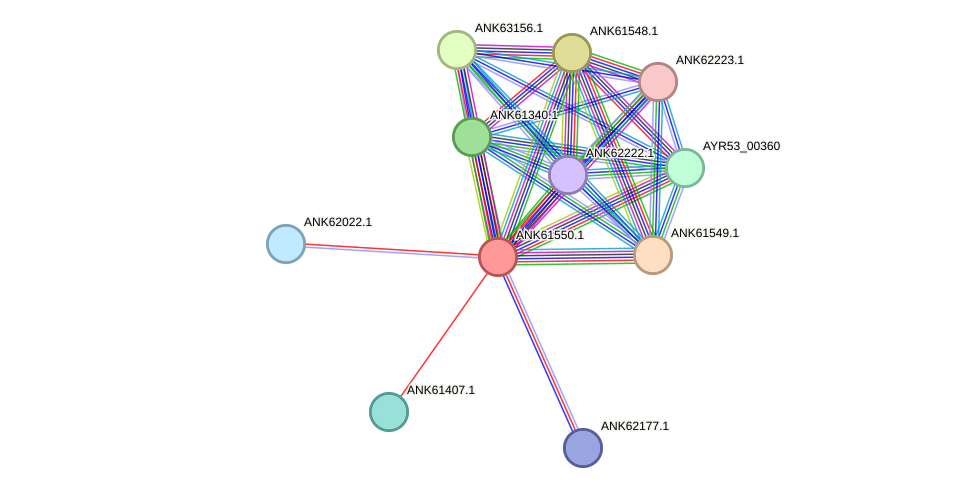 STRING protein interaction network