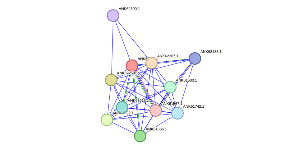STRING protein interaction network