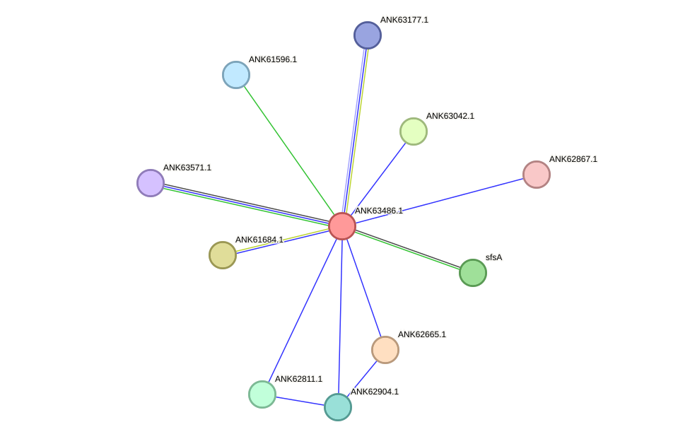 STRING protein interaction network