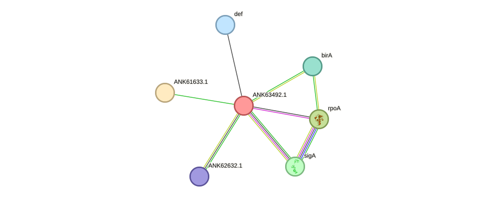 STRING protein interaction network