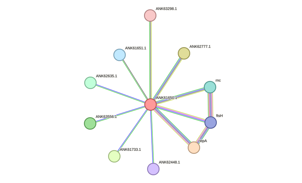STRING protein interaction network