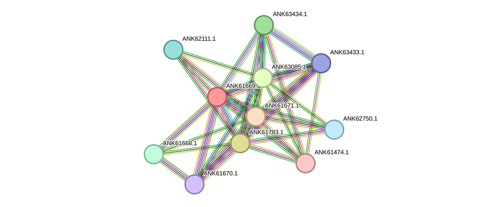 STRING protein interaction network