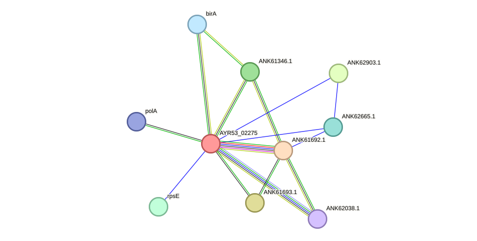 STRING protein interaction network