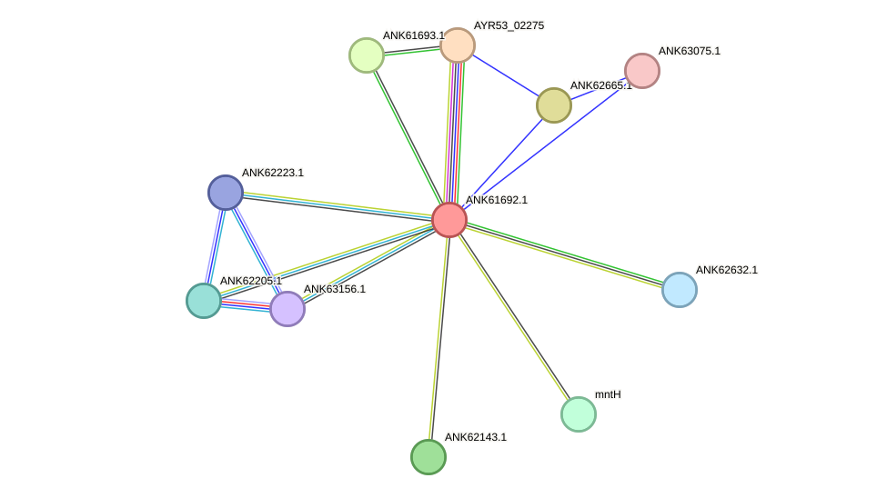STRING protein interaction network