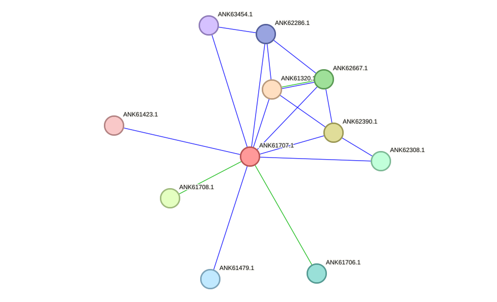 STRING protein interaction network
