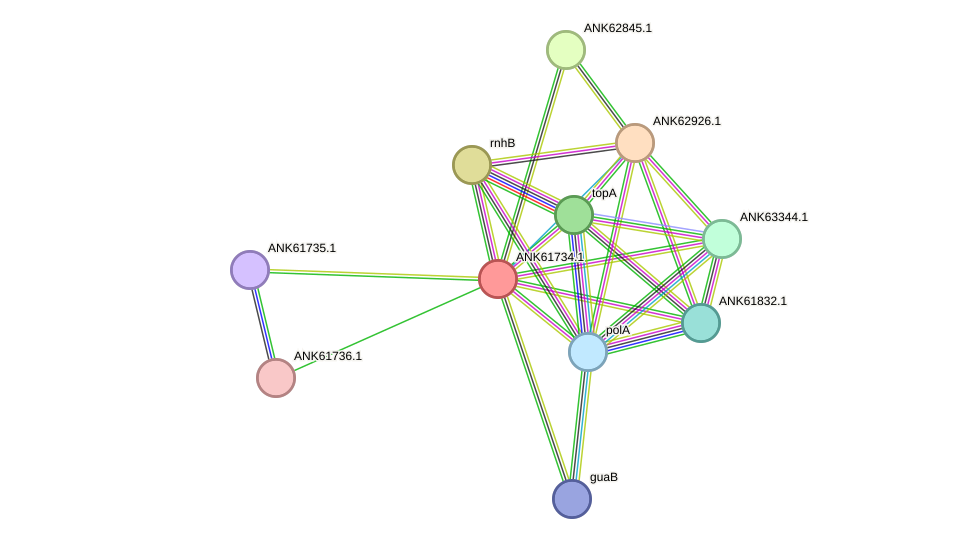 STRING protein interaction network