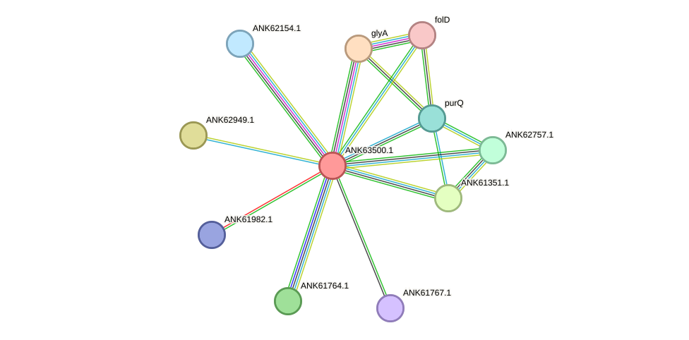 STRING protein interaction network