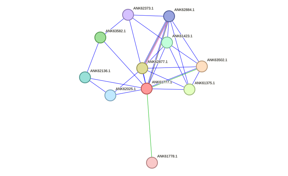 STRING protein interaction network