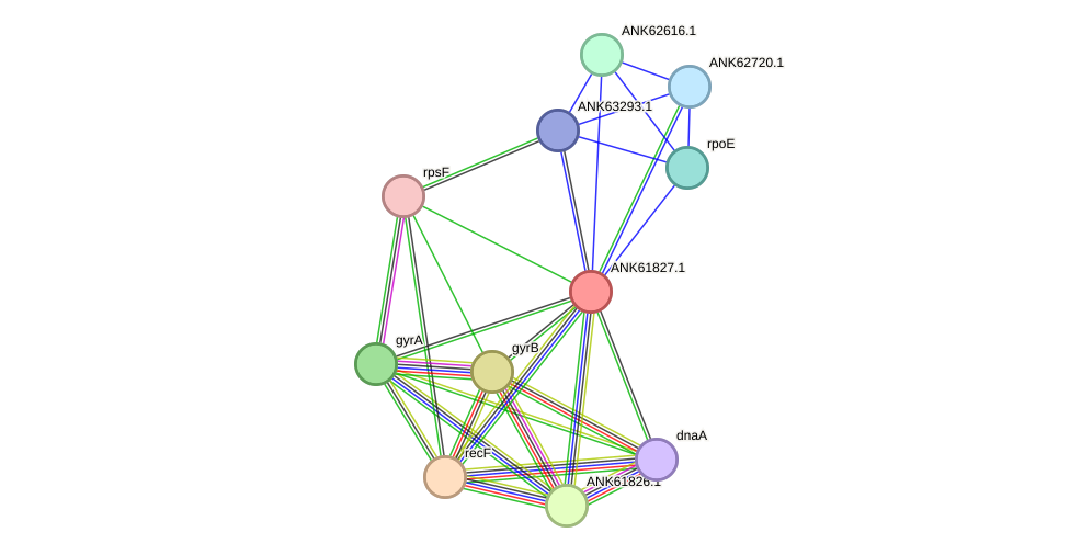 STRING protein interaction network