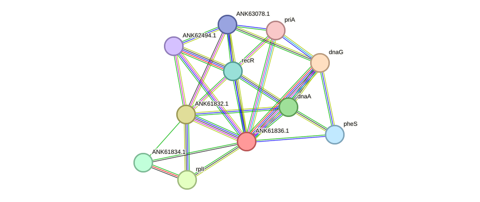 STRING protein interaction network