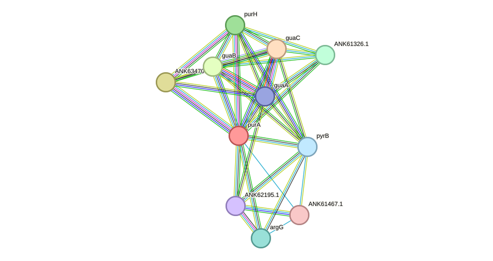 STRING protein interaction network
