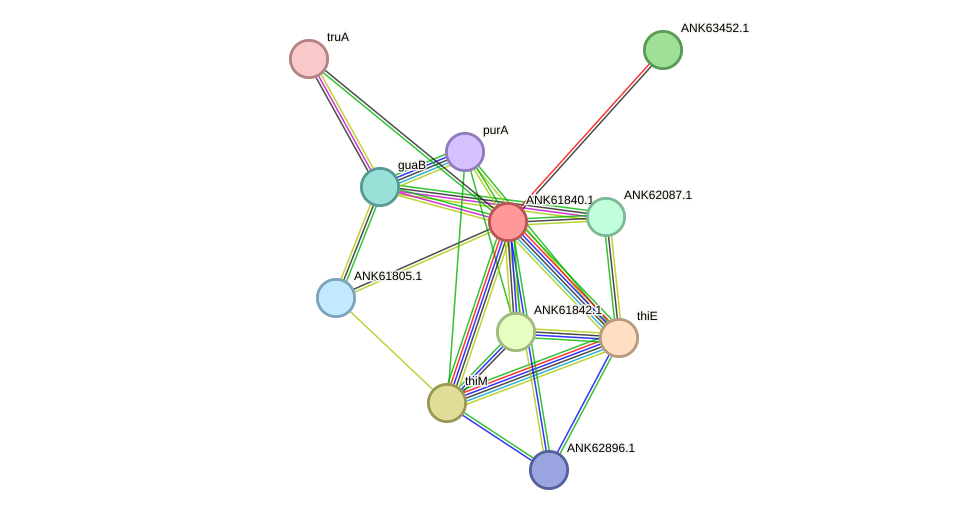STRING protein interaction network
