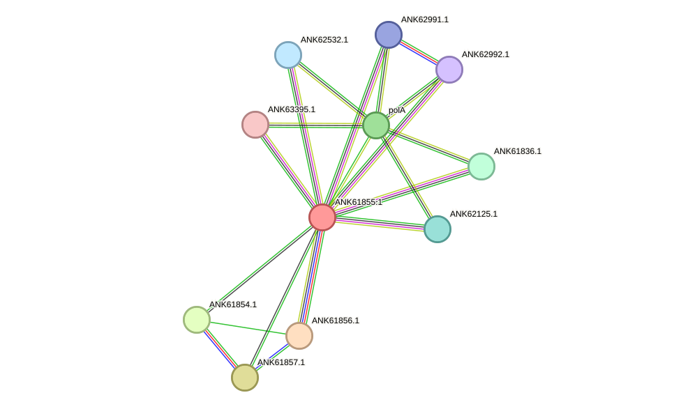 STRING protein interaction network