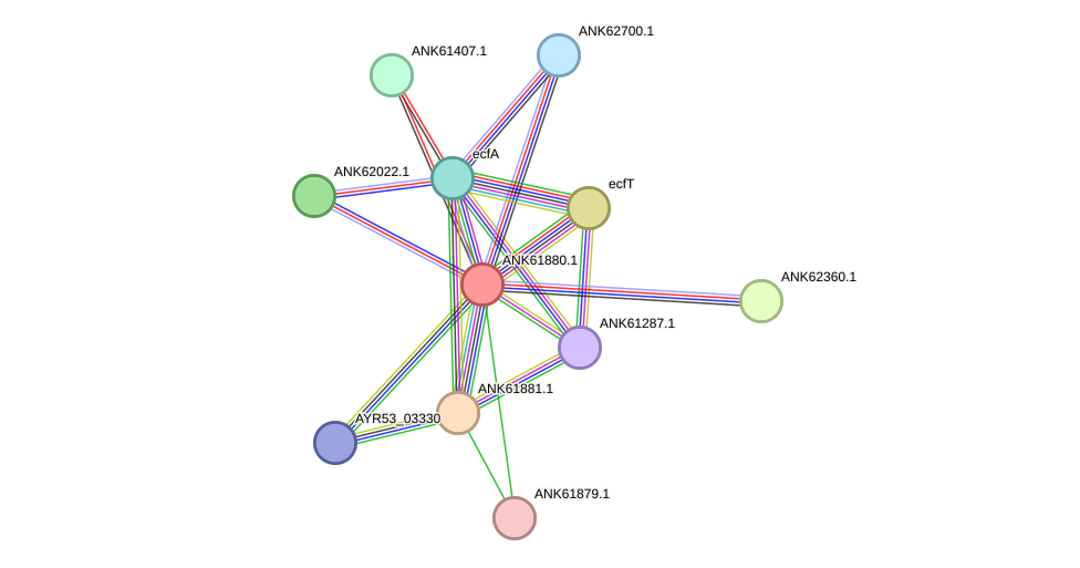 STRING protein interaction network