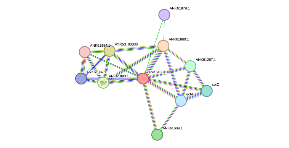 STRING protein interaction network