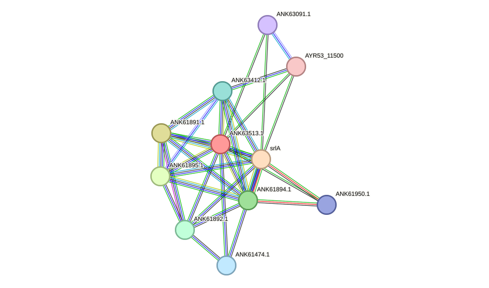 STRING protein interaction network