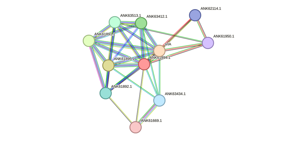 STRING protein interaction network