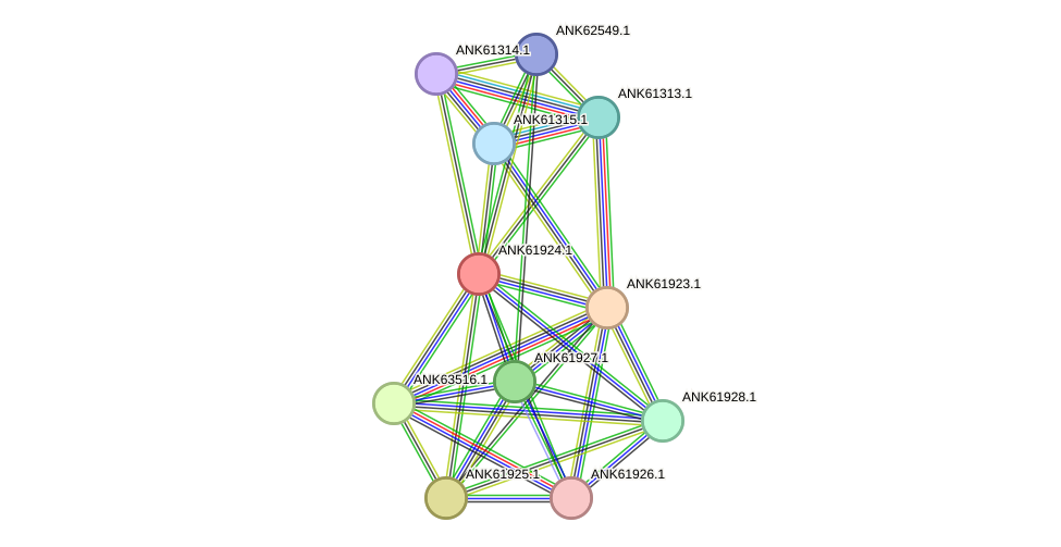 STRING protein interaction network