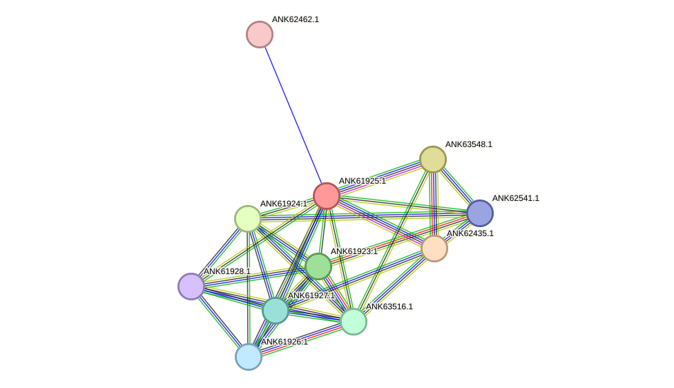 STRING protein interaction network