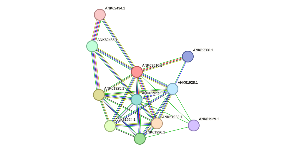 STRING protein interaction network