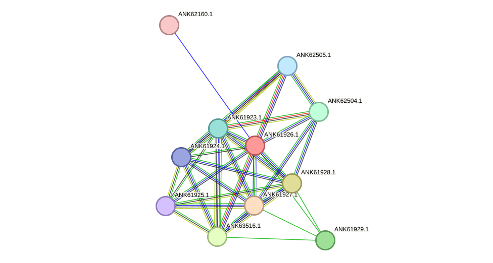 STRING protein interaction network
