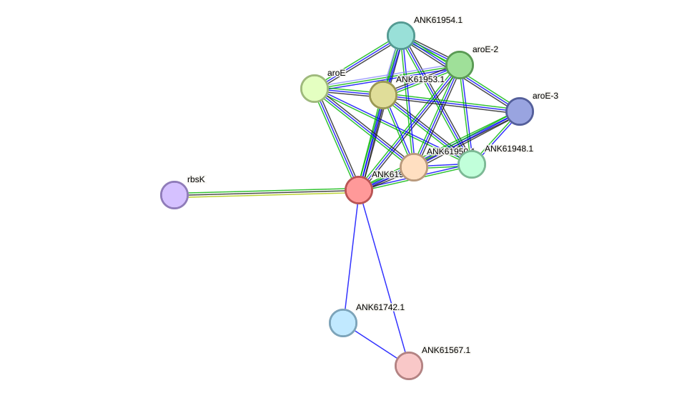 STRING protein interaction network