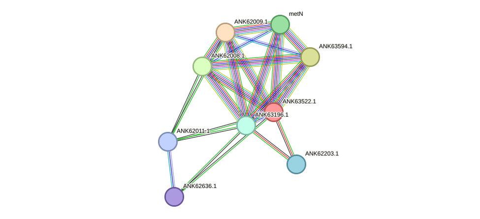 STRING protein interaction network