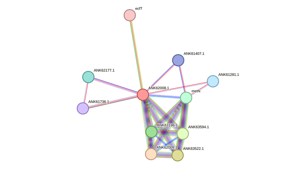 STRING protein interaction network