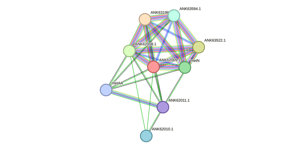 STRING protein interaction network