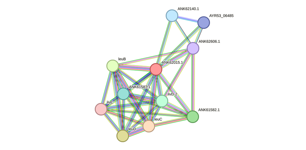 STRING protein interaction network