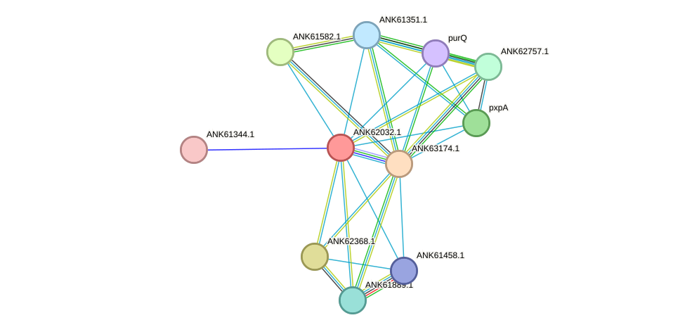 STRING protein interaction network