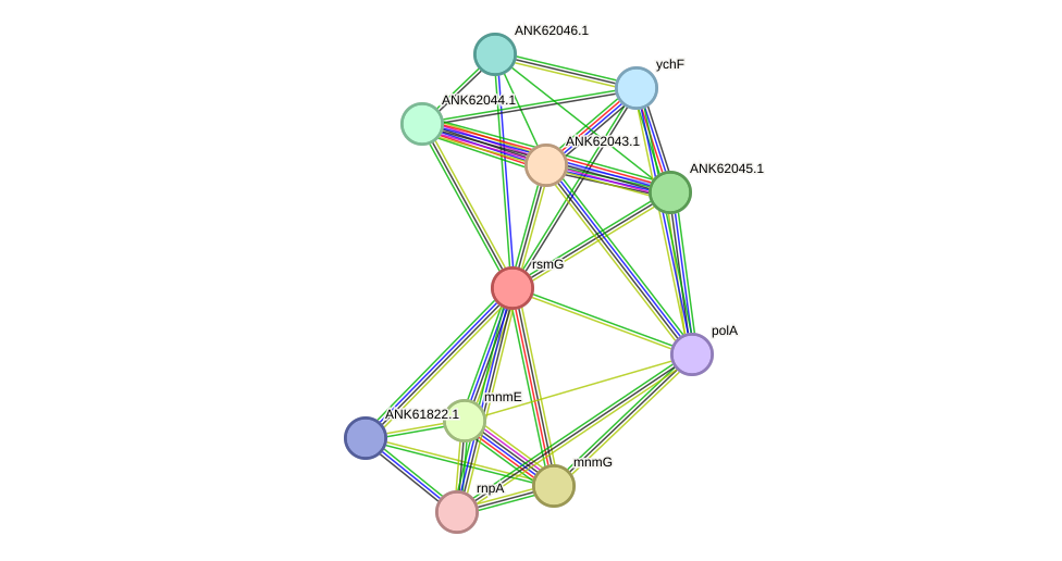 STRING protein interaction network
